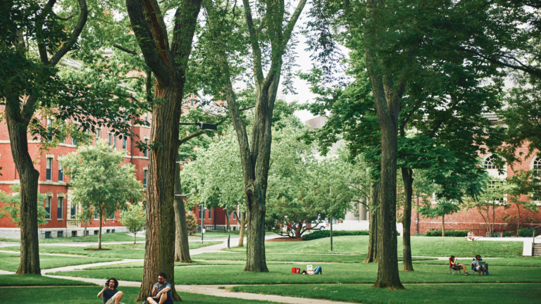 Students sit on a green, tree-covered lawn flanked by red brick buildings.