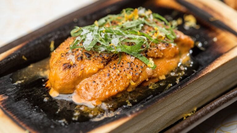 Where are the best places to eat and drink near Fenway Park? - Vimarsana News