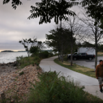 A couple walks along a paved path overlooking the Boston Harbor.