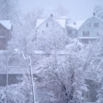 Homes and trees covered with snow