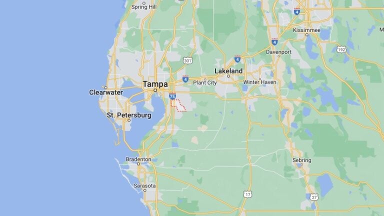 A one-star Google review was a major clue in a fatal hit-and-run - Vimarsana News
