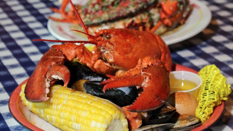 A lobster from Summer Shack.