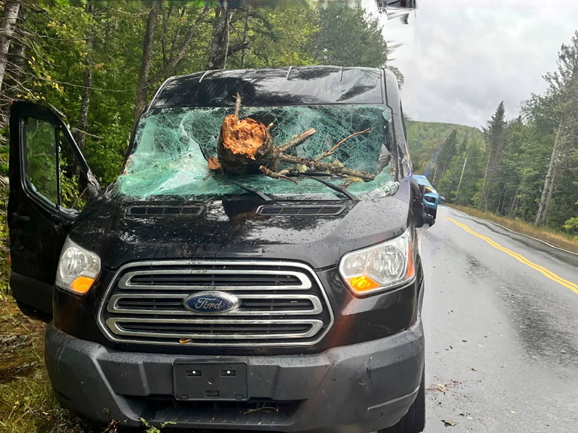 Part of a tree fell and shattered a vehicle's windshield. 