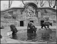 What's the history of the abandoned bear cages in Franklin Park?