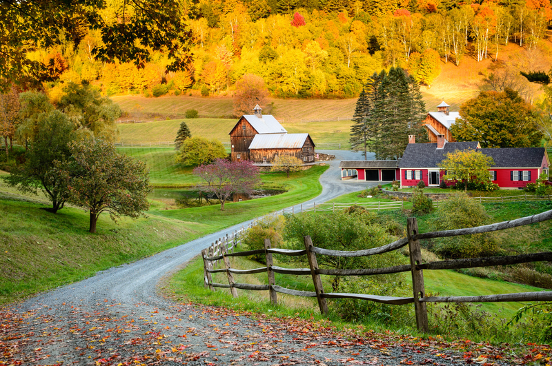 This tiny glass house in Vermont is among Airbnb's most wishlisted homes