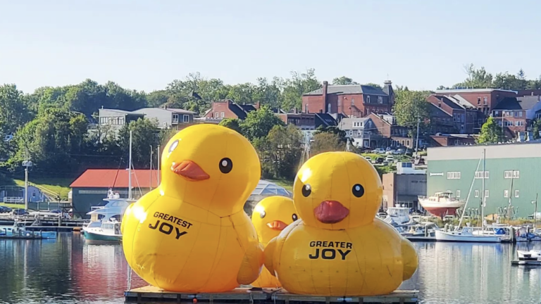 Rubber Duck - Funktionality Events & Experience