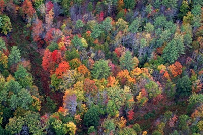 Vermont's most photographed foliage spot to close down this fall