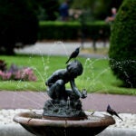 An image of the Boy and Bird fountain, with water spouting from the fountain and two birds standing on and near the statue.
