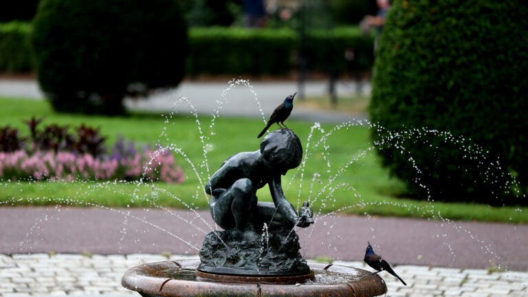 An image of the Boy and Bird fountain, with water spouting from the fountain and two birds standing on and near the statue.