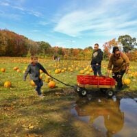 A family walks through a pumpkin patch with a wagon.