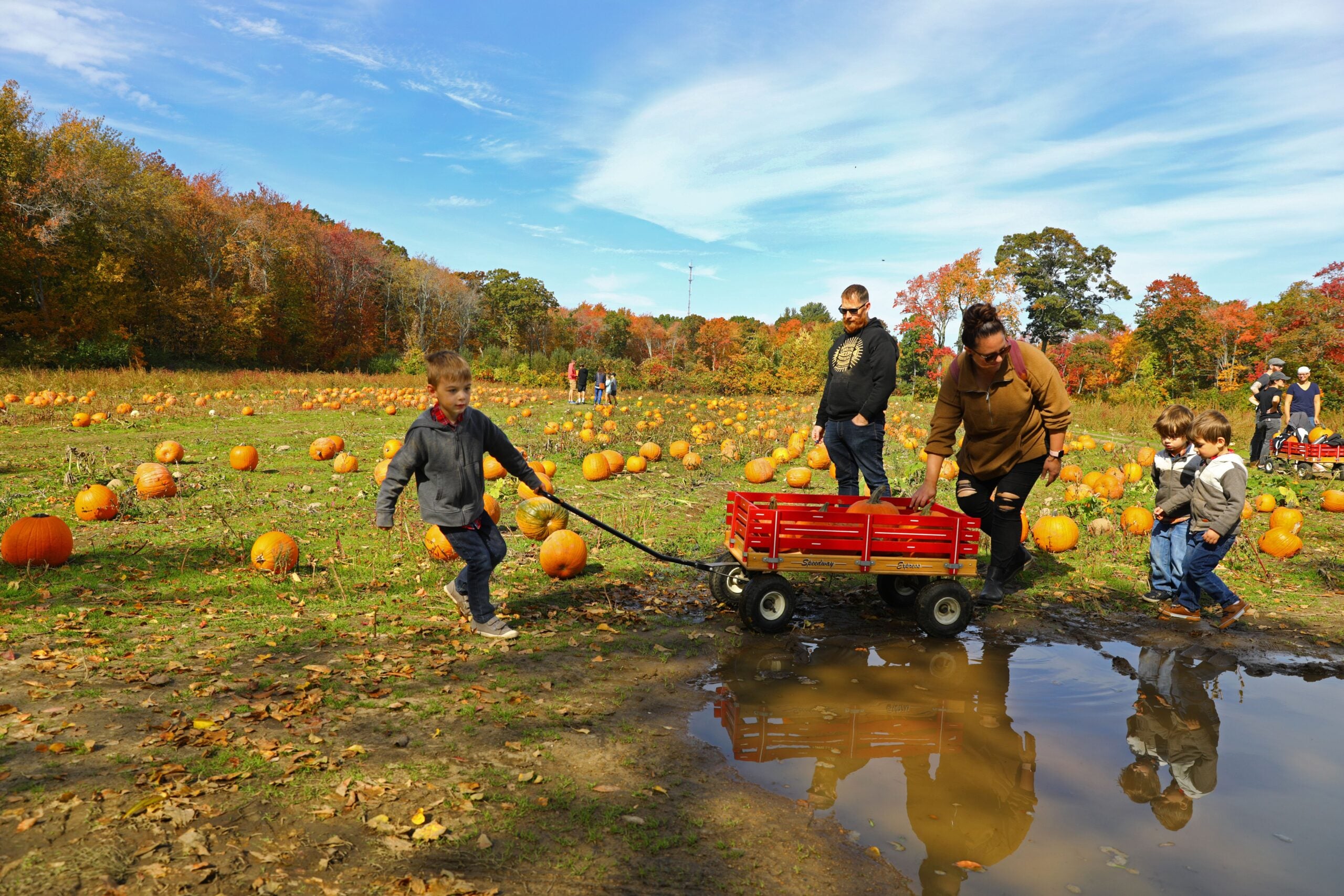 A family walks through a pumpkin patch with a wagon.