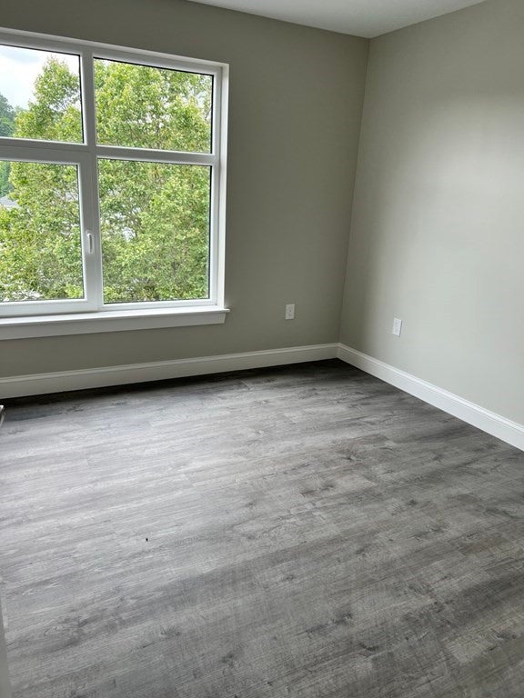 Empty bedroom with gray walls, and gray wood flooring. 