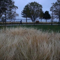 Boston weather -- A woman passes through Dorchester Shores Reservation in Boston, MA on October 23, 2019.