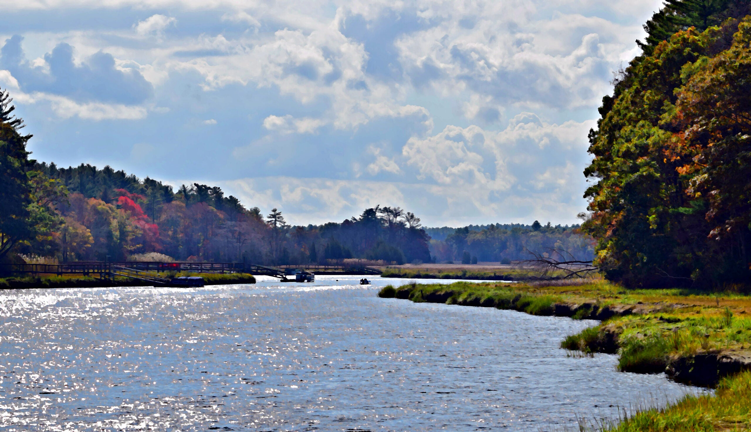 The Norris Reservation in Norwell in early fall 2014.