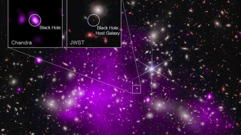 A composite view of data from NASA’s Chandra X-ray Observatory and James Webb Space Telescope indicating a growing black hole just 470 million years after the big bang.