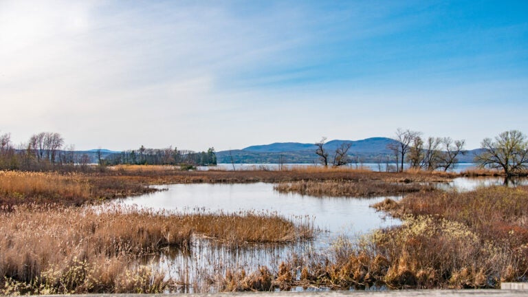 View of marsh and Lake Memphremagog from a trail bridge in Vermont.