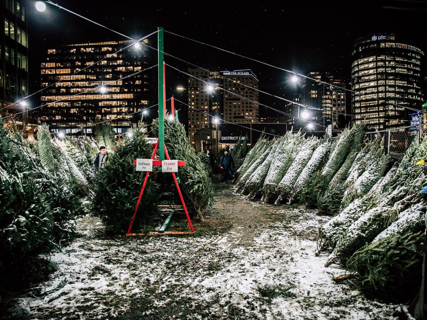 Snowport's holiday tree market in Boston's Seaport neighborhood.
