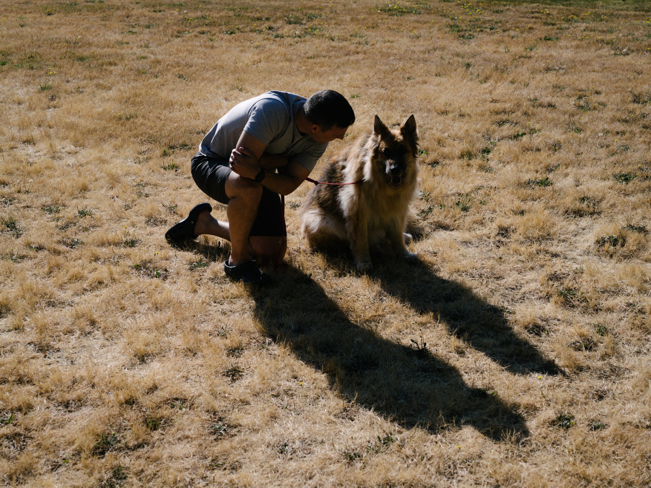 Matt Kaeberlein and his 12-year-old German Shepherd Dobby at a park near their home in North Bend, Wa.