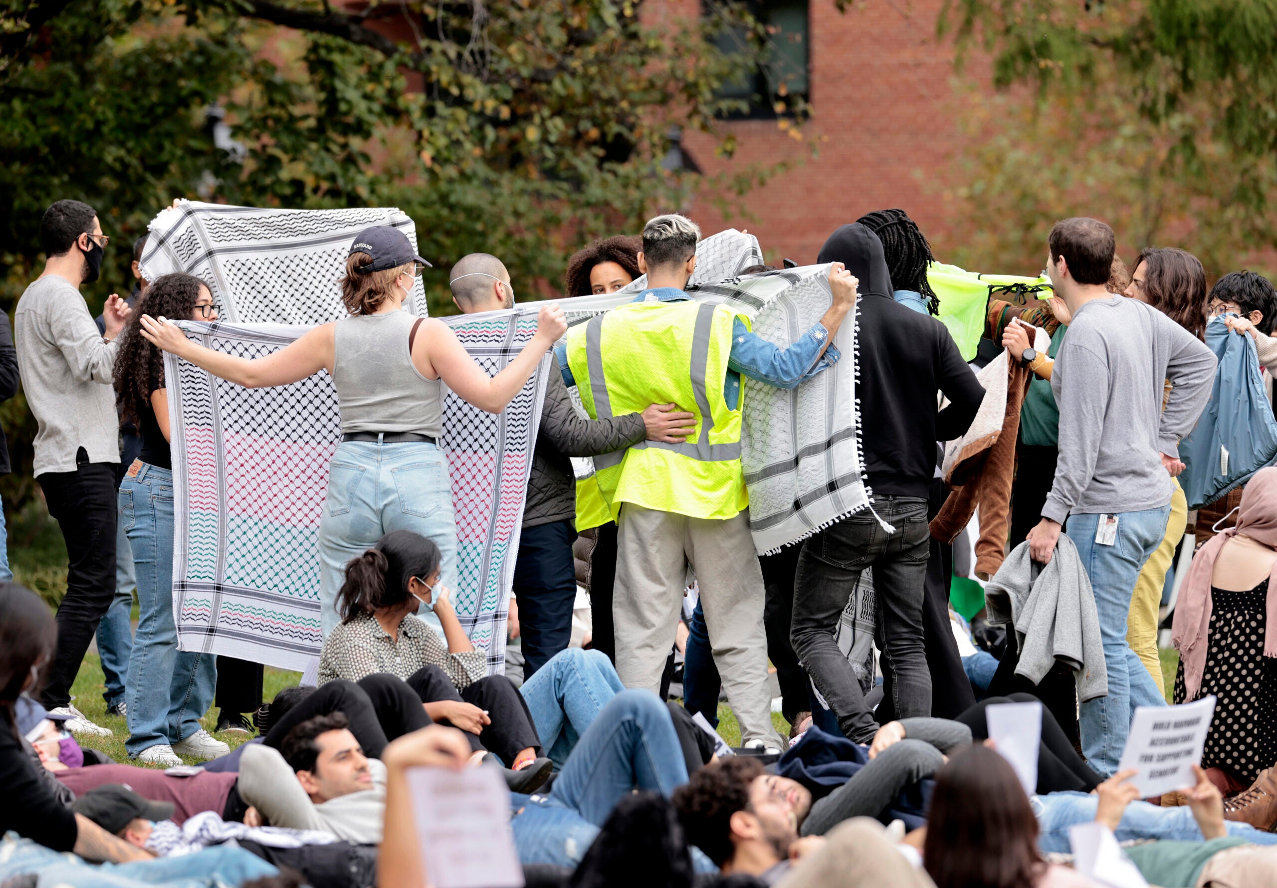 Video shows altercation at pro-Palestine 'die-in' at Harvard