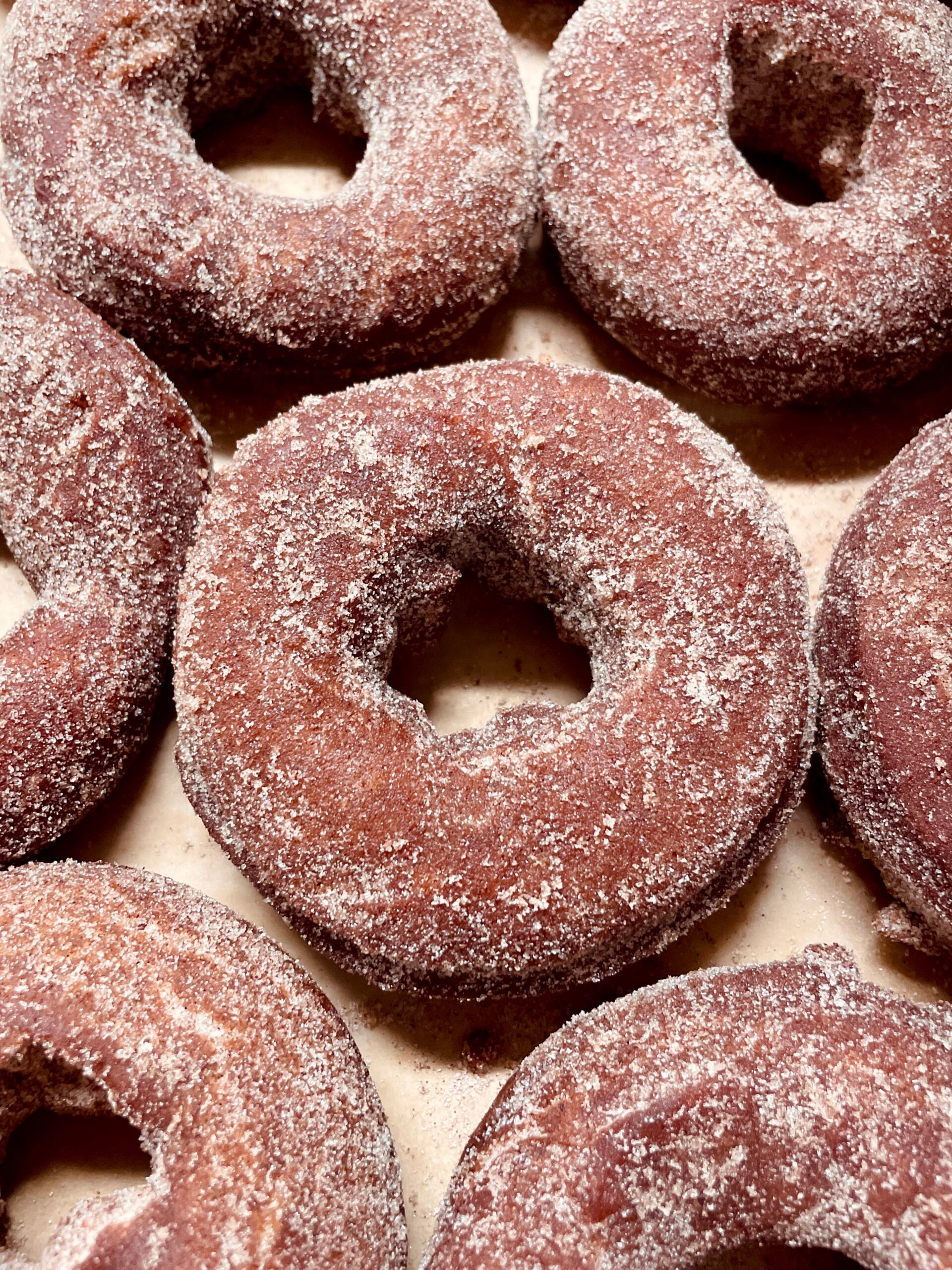 Union Square's apple cider doughnuts.