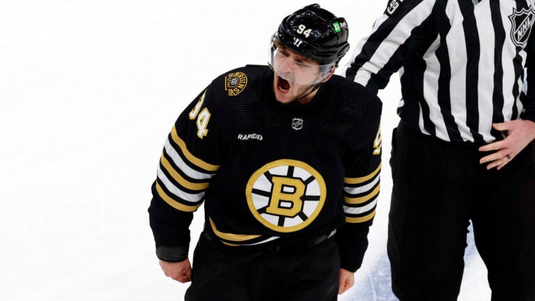Boston Bruins center Jakub Lauko (94) reacts after a fight in the first period at TD Garden.
