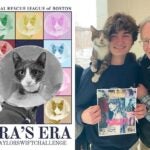 A split photo that shows how two animal shelters in Boston promoted the Taylor Swift Challenge.