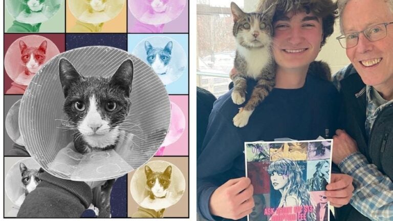 A split photo that shows how two animal shelters in Boston promoted the Taylor Swift Challenge.