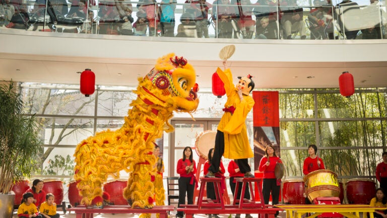 How to celebrate Lunar New Year in and around Boston