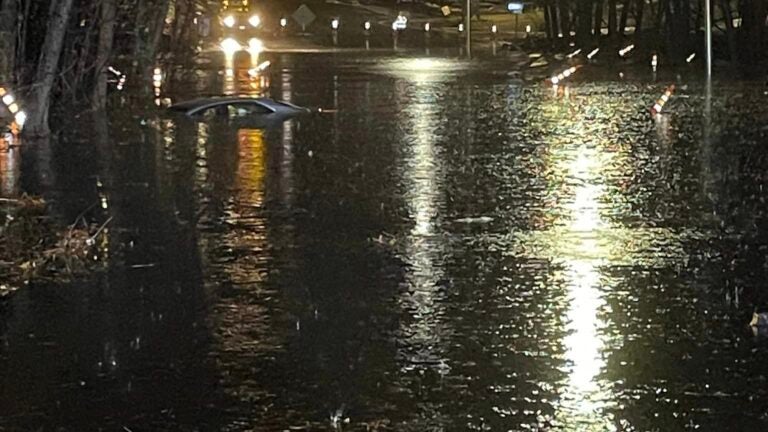 Driver hangs from tree after vehicle becomes submerged in flooded norwood road
