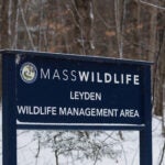 The sign at the entrance to the Leyden Wildlife Management Area in Leyden, MA is pictured on Sunday, January 14, 2024. A twin engine plane crashed nearby killed three people on board Sunday morning.