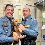 Two Massachusetts State Police troopers with a 14-week-old puppy at the Animal Rescue League of Boston.