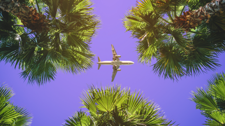 Spring break? In THIS economy? ✈️ - Vimarsana News