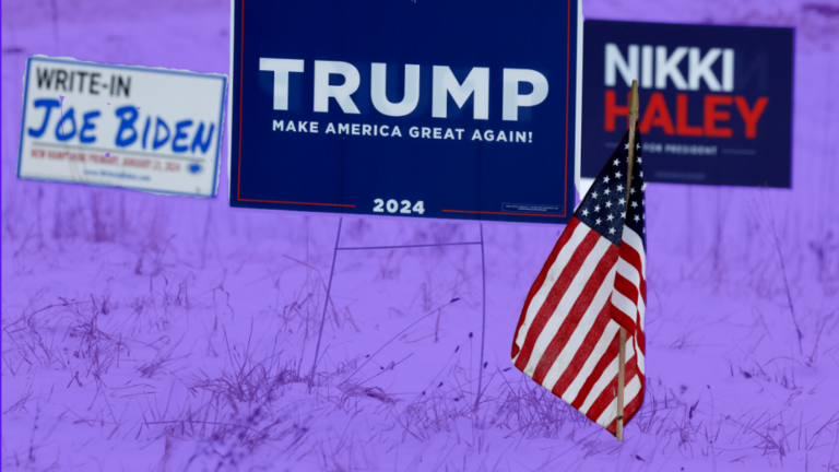 It's New Hampshire's time to shine! 😤 - Vimarsana News