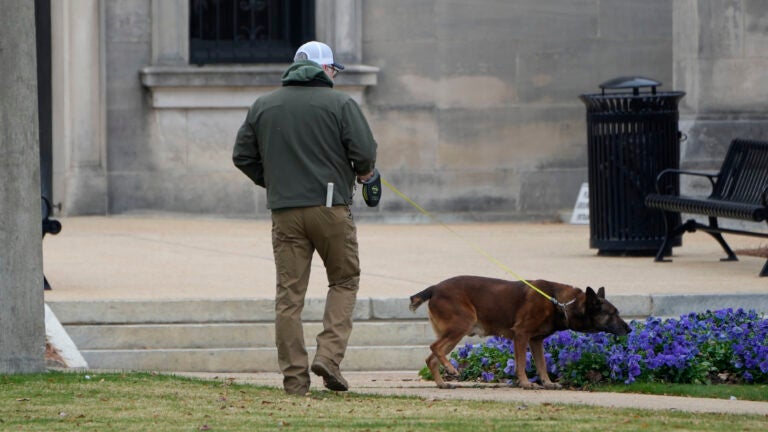 An ordinance sniffing dog patrols the Mississippi State Capitol grounds.