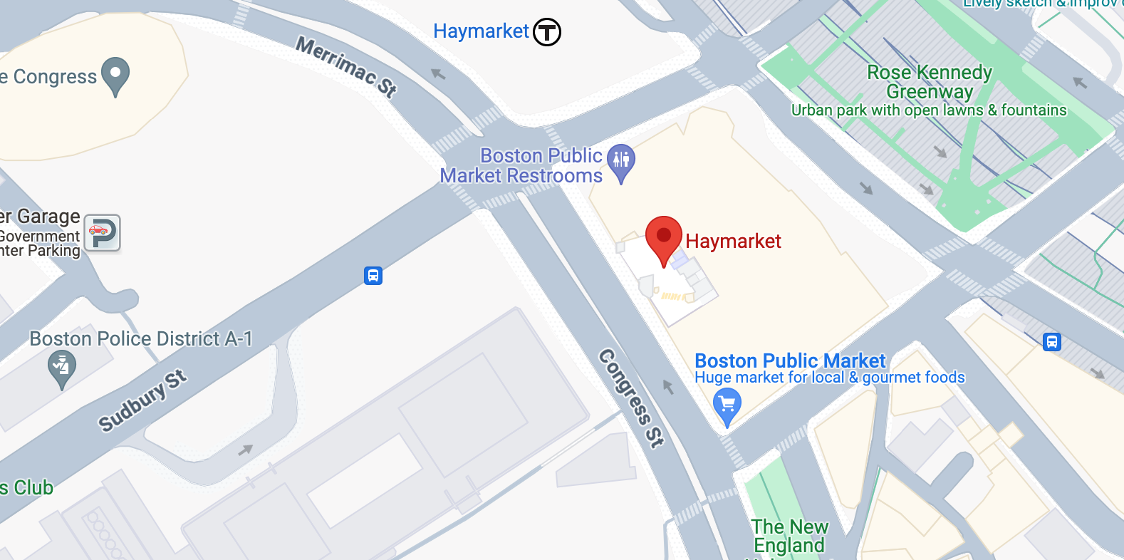 T police arrest man who allegedly 'harassed' riders with his pet rats