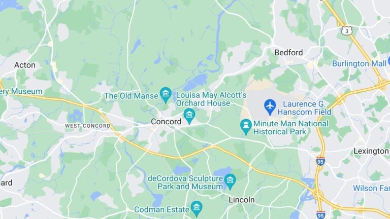 Dogwalker, dog rescued after falling through ice in Concord - Vimarsana News