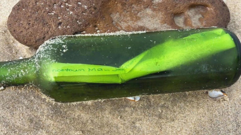 Woman's letter in a bottle from Provincetown, a message to her late father, found in France - Vimarsana News