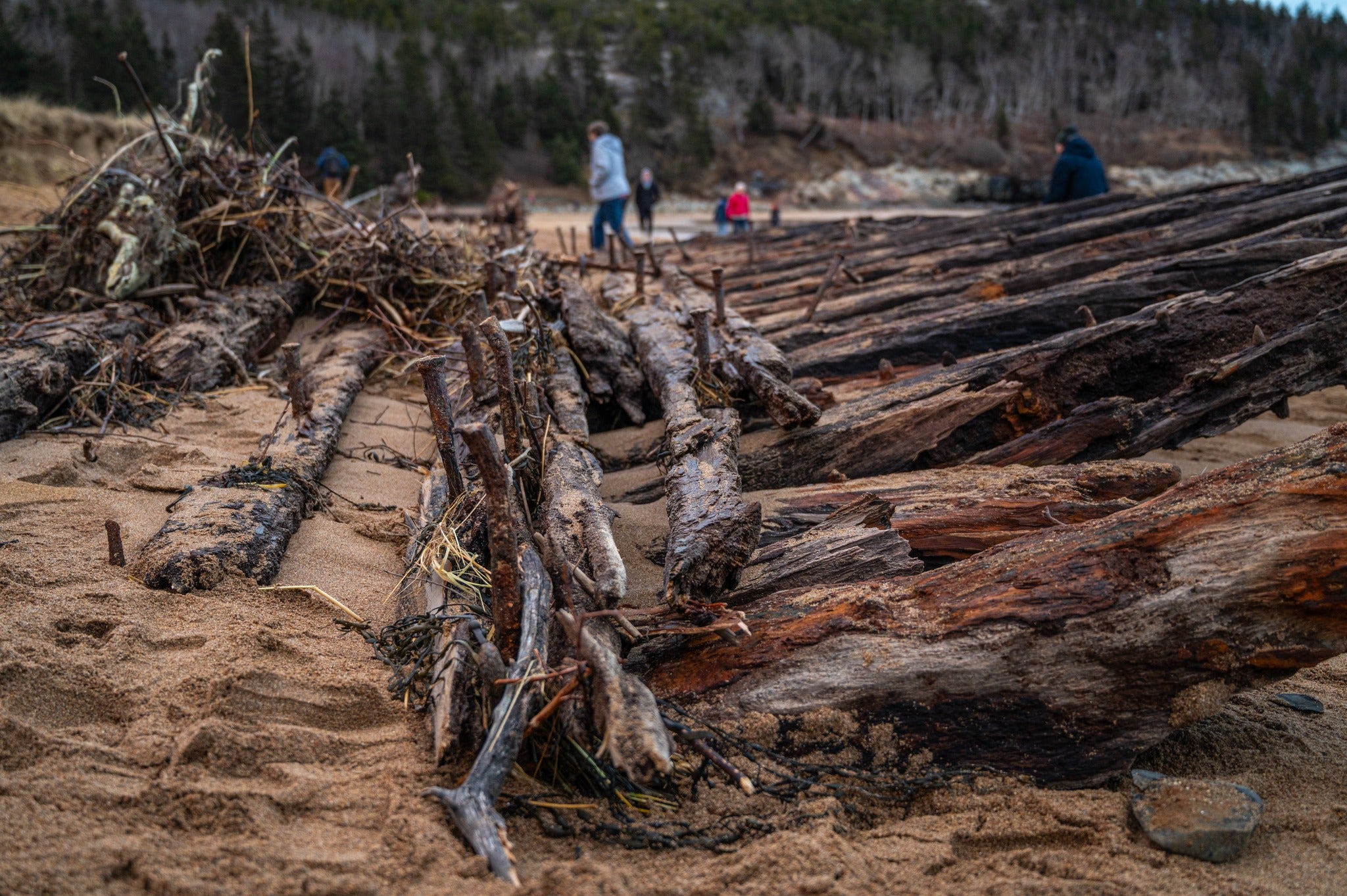 Shipwreck more than a hundred years old revealed in Maine after storm