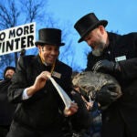 Groundhog Club handler A.J. Dereume holds Punxsutawney Phil.