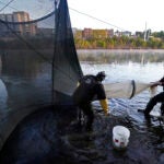 Darrell Young and his son, Dustin, set up a fyke net.