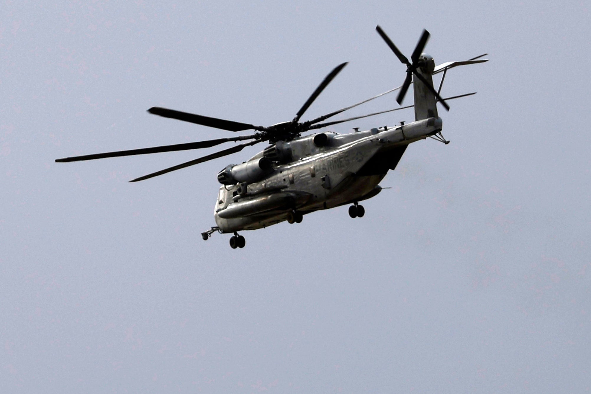 Coast guard helicopter brought in for seizure of 40 striped bass in  northeast N.B.