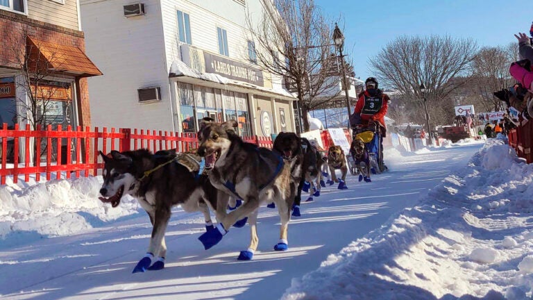 Patty Richards from Vermont takes off with her team of sled dogs.