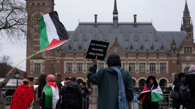 Pro-Palestinians demonstrators wave flags as they protest outside the United Nations' highest court.