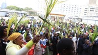 What is Palm Sunday? Why is the donkey important to the story? And how
