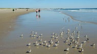 10,000 readers voted: This is the best New England beach town