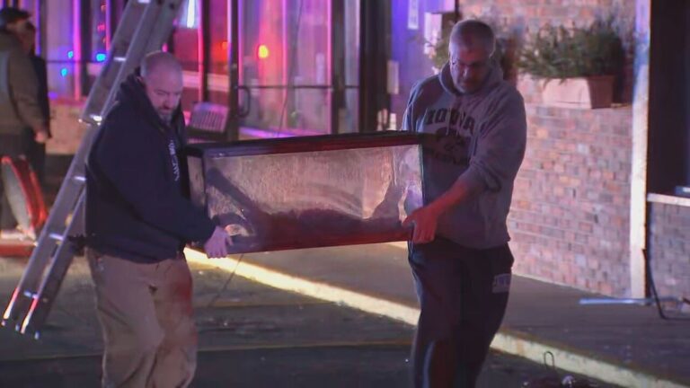 Reptiles rescued from fire at Wakefield exotic animal business - Vimarsana News
