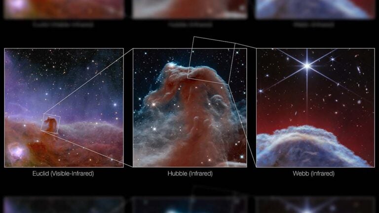 Three views of the Horsehead Nebula.