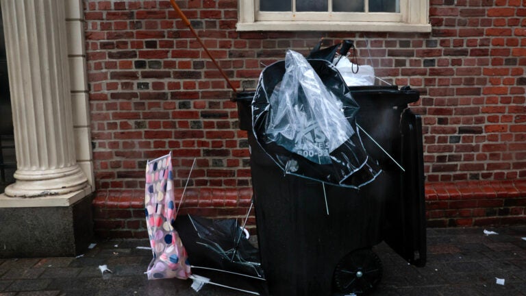 Discarded umbrellas fill a garbage can downtown.