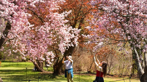 10 free things to do in Boston in April