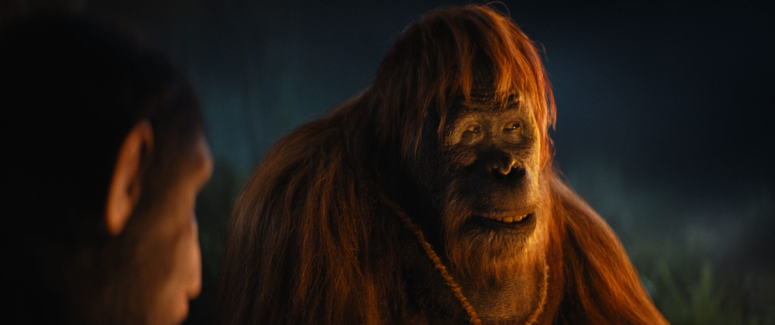 Raka (played by Peter Macon) in "Kingdom of the Planet of the Apes." 